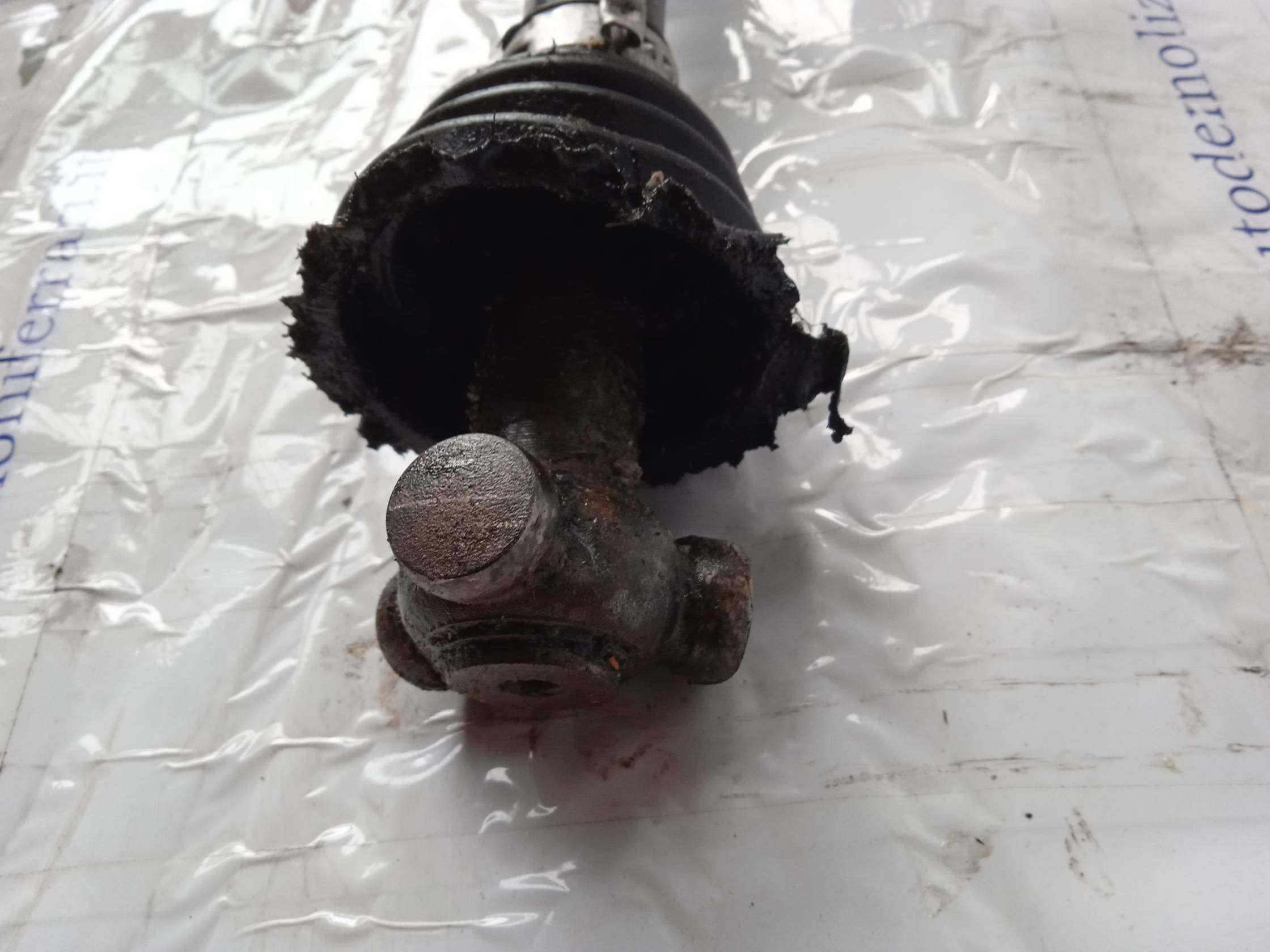 Semialbero ant. compl. sx.